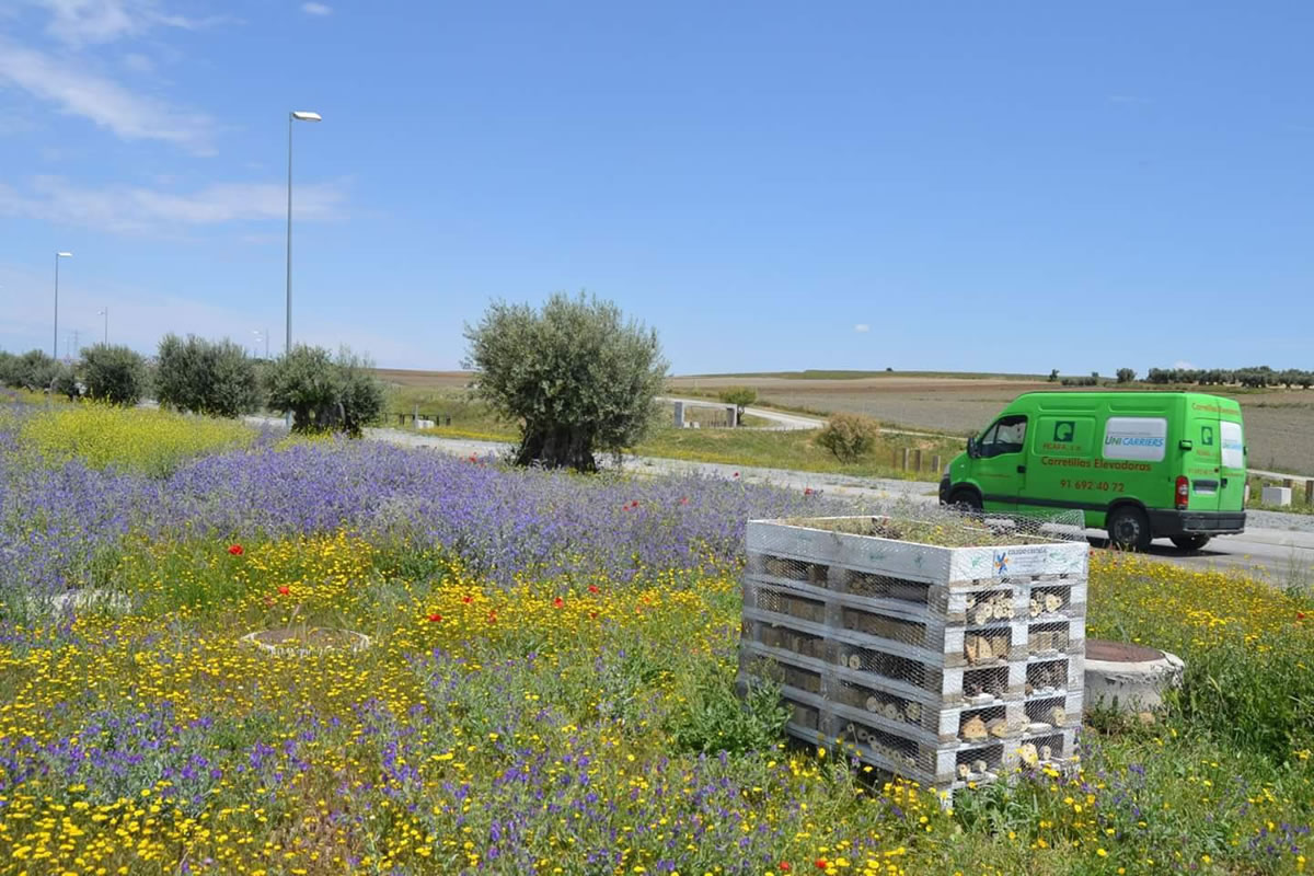 Plataforma Central Iberum: Proyecto de Seguimiento de Insectos